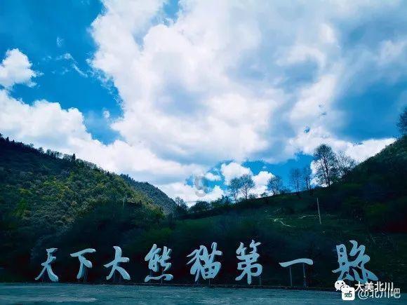 大话西游手游