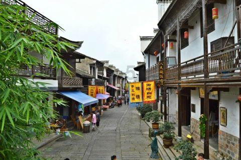 异形：隔离